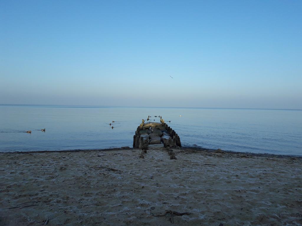 Seaside Lesne Tarasy Apartment Дзивновек Екстериор снимка
